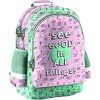 Школьный рюкзак Paso Good Things PP20GT-116