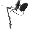 Проводной микрофон Ritmix RDM-180