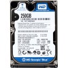 Жесткий диск WD Blue 250GB [WD2500LPCX]